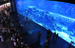 The breathtaking Dubai Aquarium and Underwater Zoo